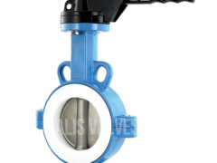 Pneumatic Actuator